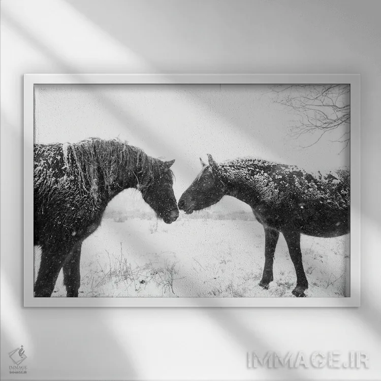 تابلو اسبهای برفی اثر اندرو لِوِر - نمای قابدار سفید