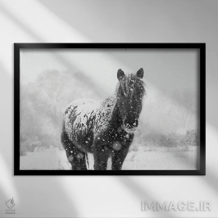 تابلو اسب برفی III اثر اندرو لِوِر - نمای قابدار مشکی