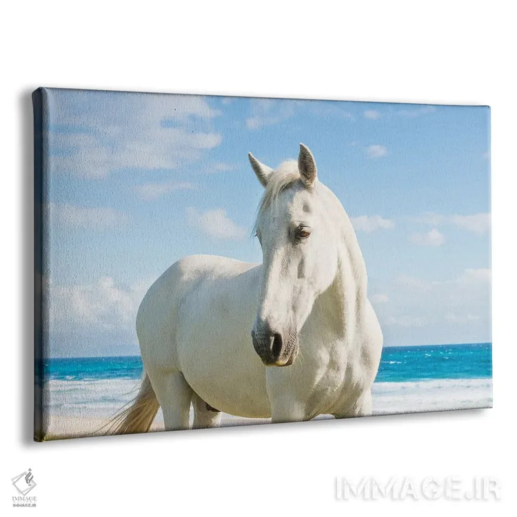 تابلو اسب ساحلی اثر اندرو لِوِر - نمای پرسپکتیو محصول
