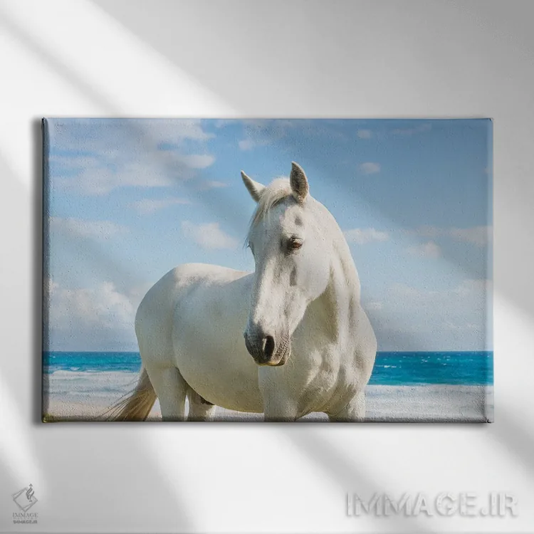 تابلو اسب ساحلی اثر اندرو لِوِر - نمای روبهرو روی دیوار