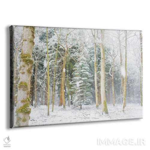 تابلو درخت کریسمس اثر اندرو لِوِر - نمای پرسپکتیو محصول