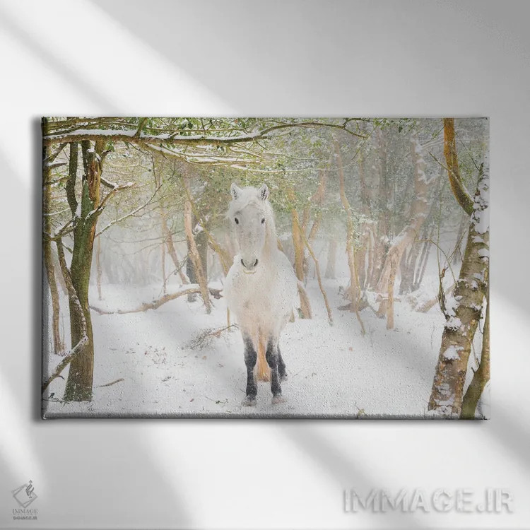 تابلو اسب برفی II اثر اندرو لِوِر - نمای روبهرو روی دیوار