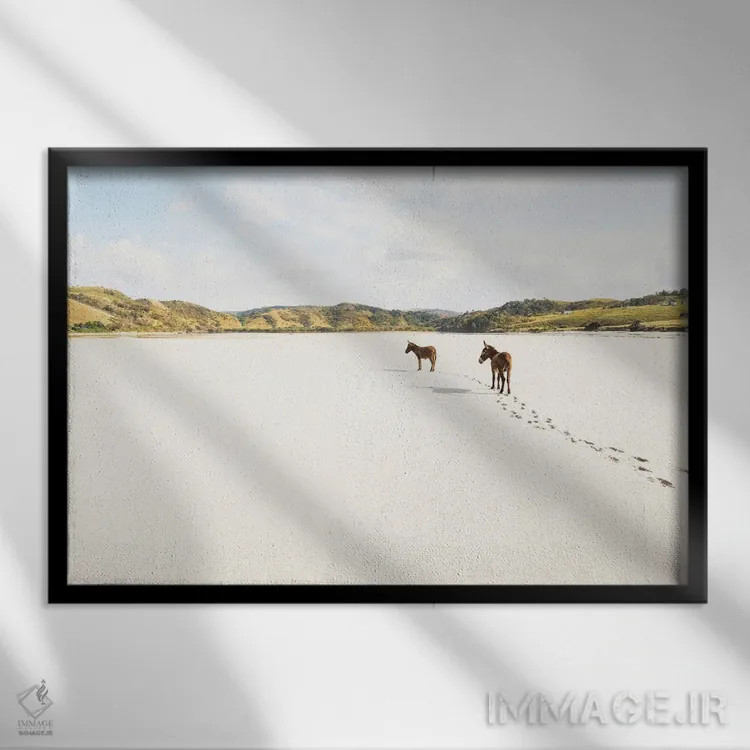 تابلو الاغهای ساحلی اثر اندرو لِوِر - نمای قابدار مشکی