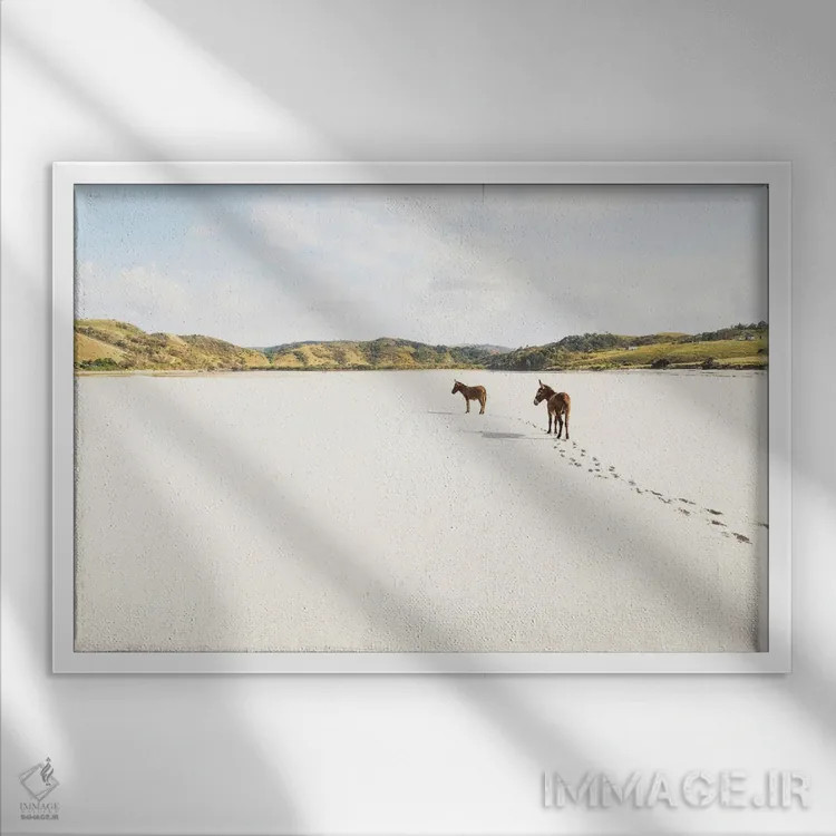 تابلو الاغهای ساحلی اثر اندرو لِوِر - نمای قابدار سفید