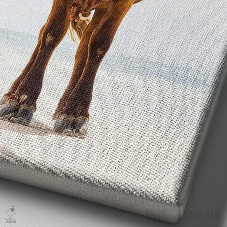 تابلو گاو نر ساحلی اثر اندرو لِوِر - نمای نزدیک بافت بوم