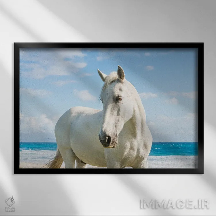 تابلو اسب ساحلی اثر اندرو لِوِر - نمای قابدار مشکی