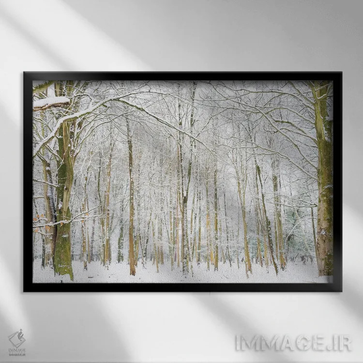 تابلو جنگل زمستانی اثر اندرو لِوِر - نمای قابدار مشکی