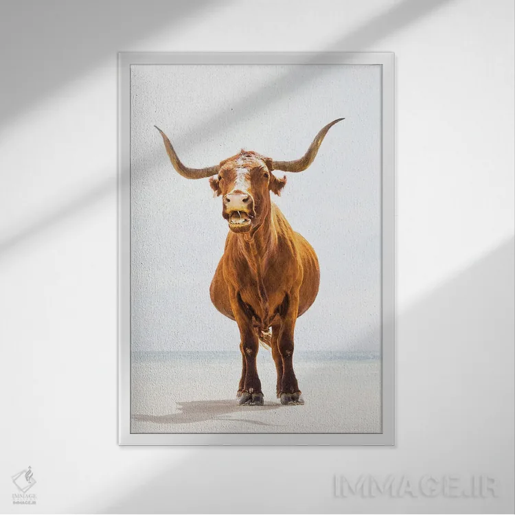 تابلو گاو نر ساحلی اثر اندرو لِوِر - نمای قابدار سفید