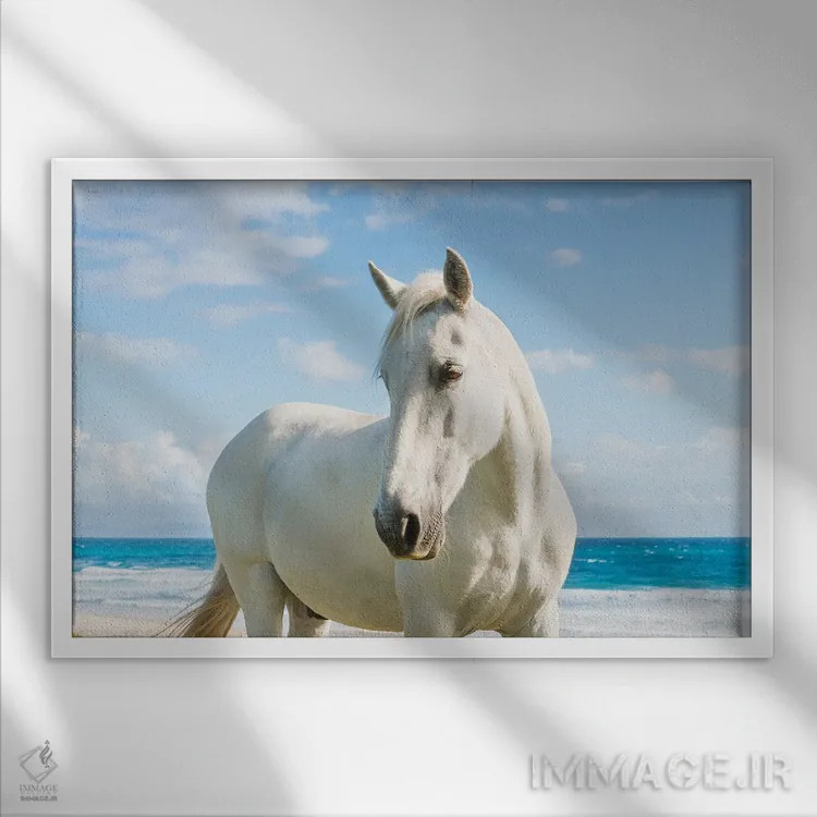 تابلو اسب ساحلی اثر اندرو لِوِر - نمای قابدار سفید