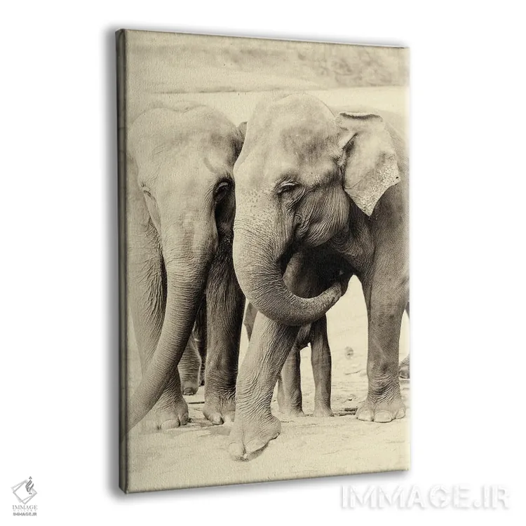 تابلو با هم بودن اثر اندرو لِوِر - نمای پرسپکتیو محصول