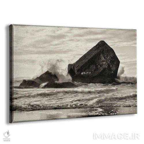 تابلو پناهگاههای دریایی اثر اندرو لِوِر - نمای پرسپکتیو محصول