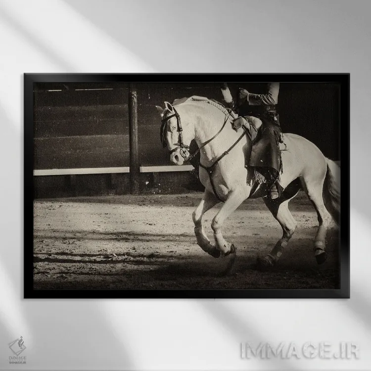 تابلو اسب سفید (شارژر = اسب جنگی) اثر اندرو لِوِر - نمای قابدار مشکی