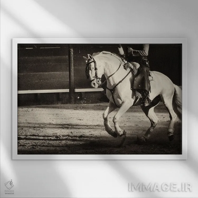 تابلو اسب سفید (شارژر = اسب جنگی) اثر اندرو لِوِر - نمای قابدار سفید