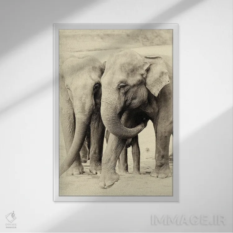 تابلو با هم بودن اثر اندرو لِوِر - نمای قابدار سفید