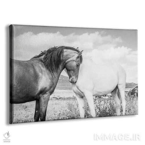 تابلو با هم اثر اندرو لِوِر - نمای پرسپکتیو محصول