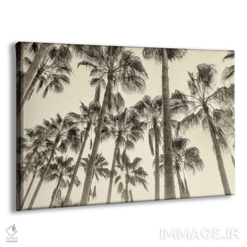 تابلو نخلهای قناری اثر اندرو لِوِر - نمای پرسپکتیو محصول