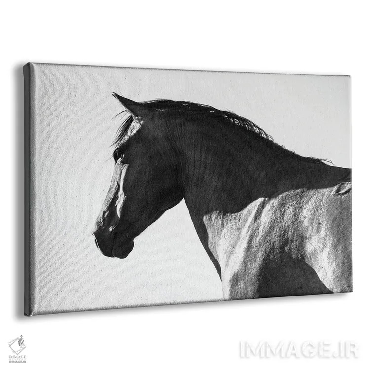 تابلو زیبای سیاه اثر اندرو لِوِر - نمای پرسپکتیو محصول