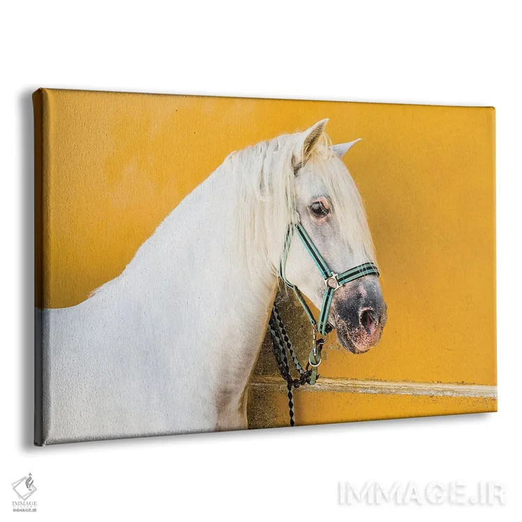 تابلو اسب سفید اثر اندرو لِوِر - نمای پرسپکتیو محصول