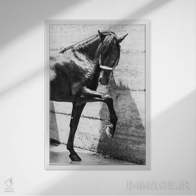 تابلو اسب اندلسی سیاه اثر اندرو لِوِر - نمای قابدار سفید
