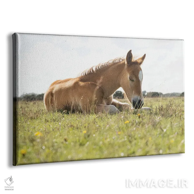 تابلو چرت عصرگاهی اثر اندرو لِوِر - نمای پرسپکتیو محصول