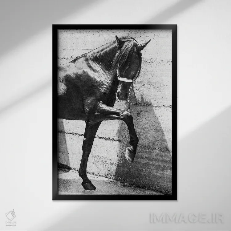 تابلو اسب اندلسی سیاه اثر اندرو لِوِر - نمای قابدار مشکی