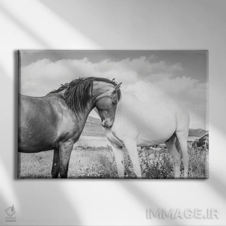 تابلو با هم اثر اندرو لِوِر - نمای روبهرو روی دیوار