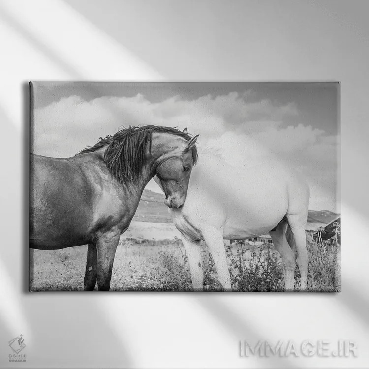 تابلو با هم اثر اندرو لِوِر - نمای روبهرو روی دیوار