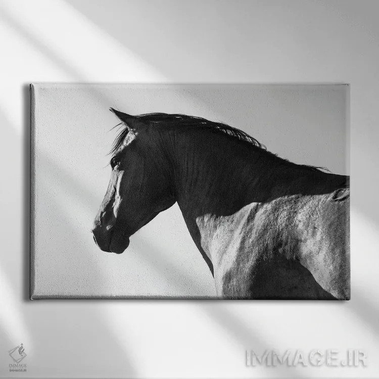 تابلو زیبای سیاه اثر اندرو لِوِر - نمای روبهرو روی دیوار