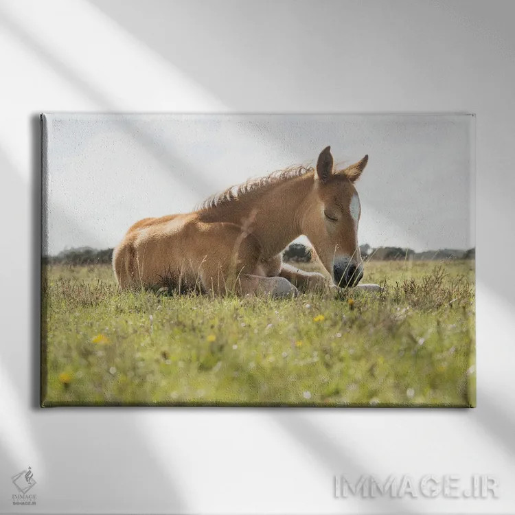 تابلو چرت عصرگاهی اثر اندرو لِوِر - نمای روبهرو روی دیوار