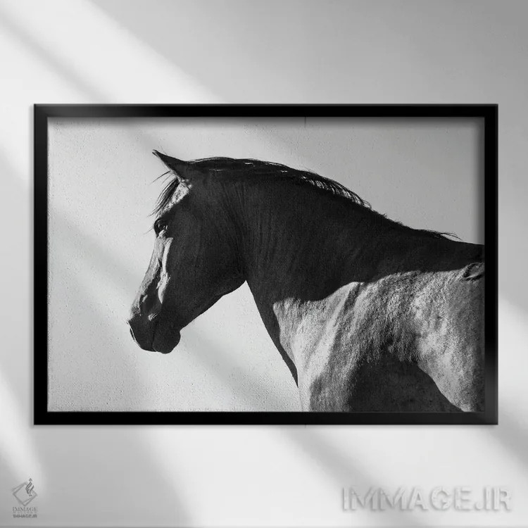 تابلو زیبای سیاه اثر اندرو لِوِر - نمای قابدار مشکی