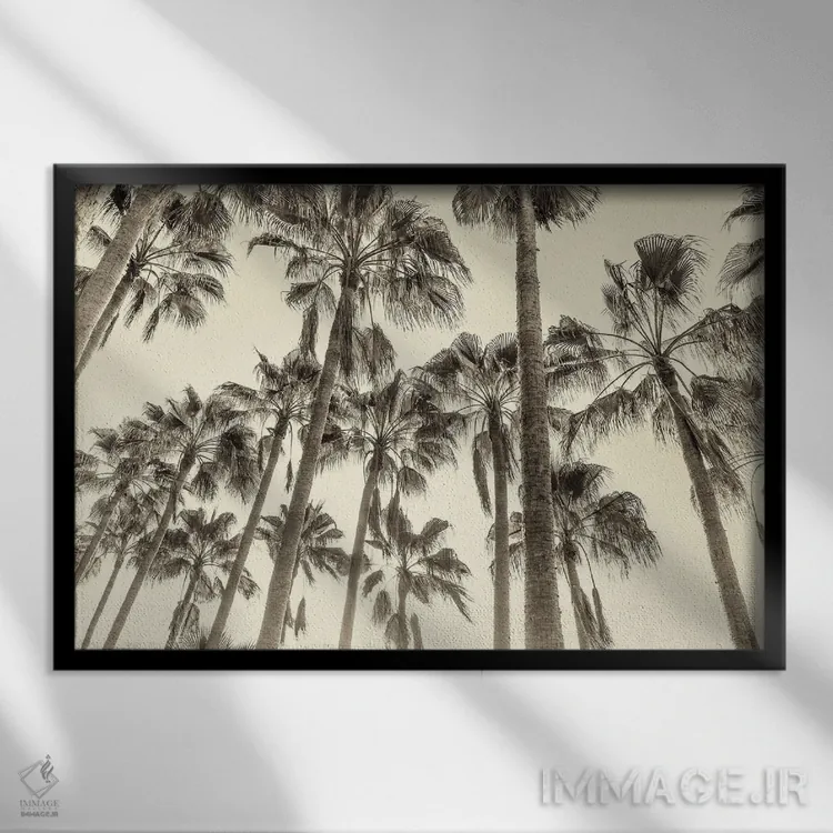 تابلو نخلهای قناری اثر اندرو لِوِر - نمای قابدار مشکی