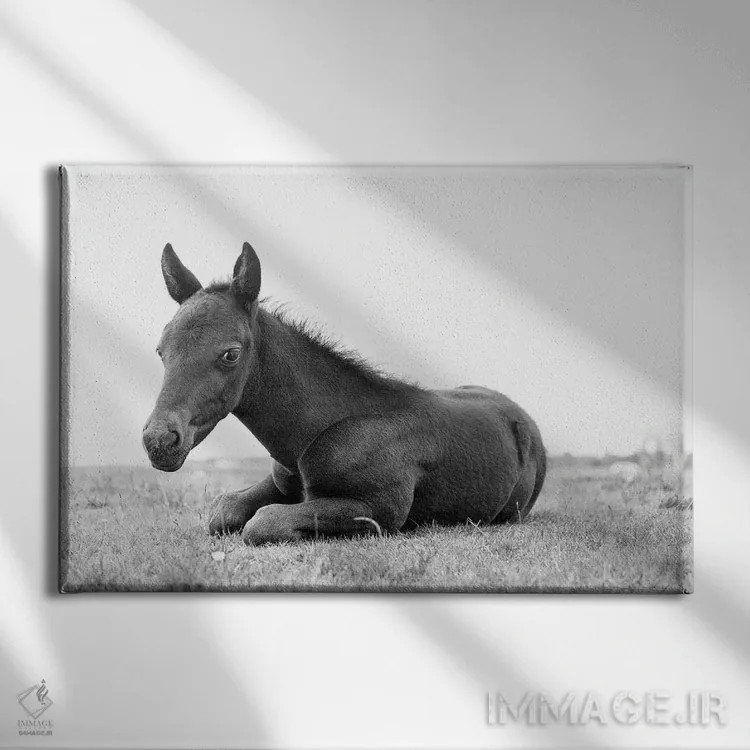 تابلو زیبای سیاه جوان اثر اندرو لِوِر - نمای روبهرو روی دیوار