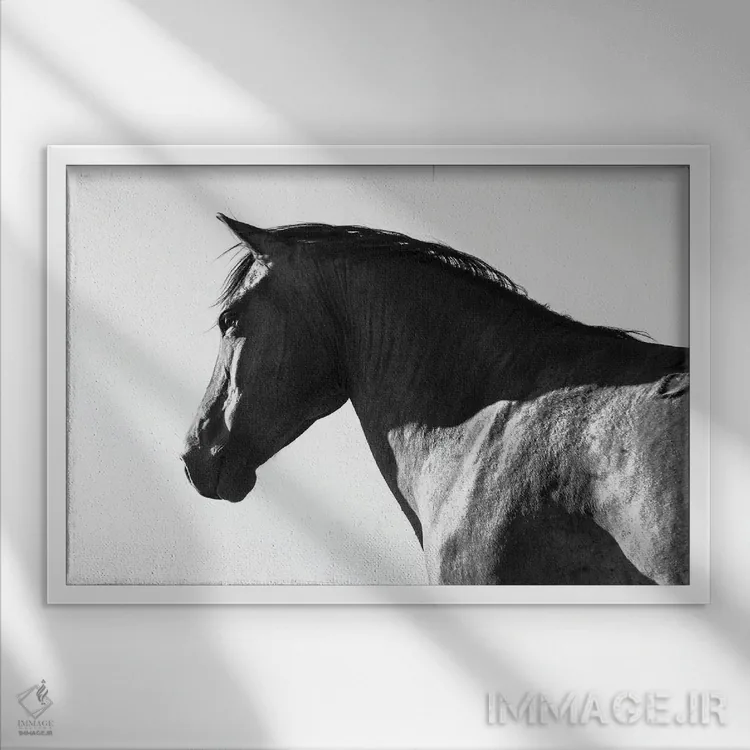 تابلو زیبای سیاه اثر اندرو لِوِر - نمای قابدار سفید