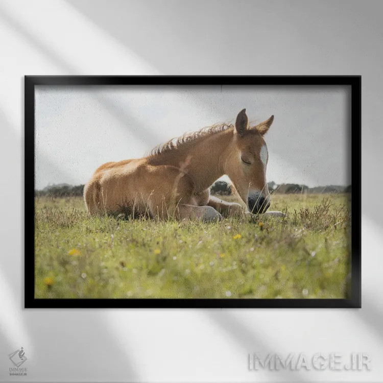 تابلو چرت عصرگاهی اثر اندرو لِوِر - نمای قابدار مشکی