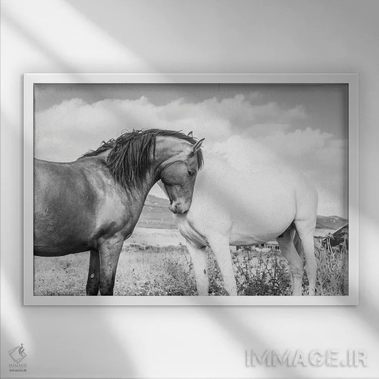 تابلو با هم اثر اندرو لِوِر - نمای قابدار سفید