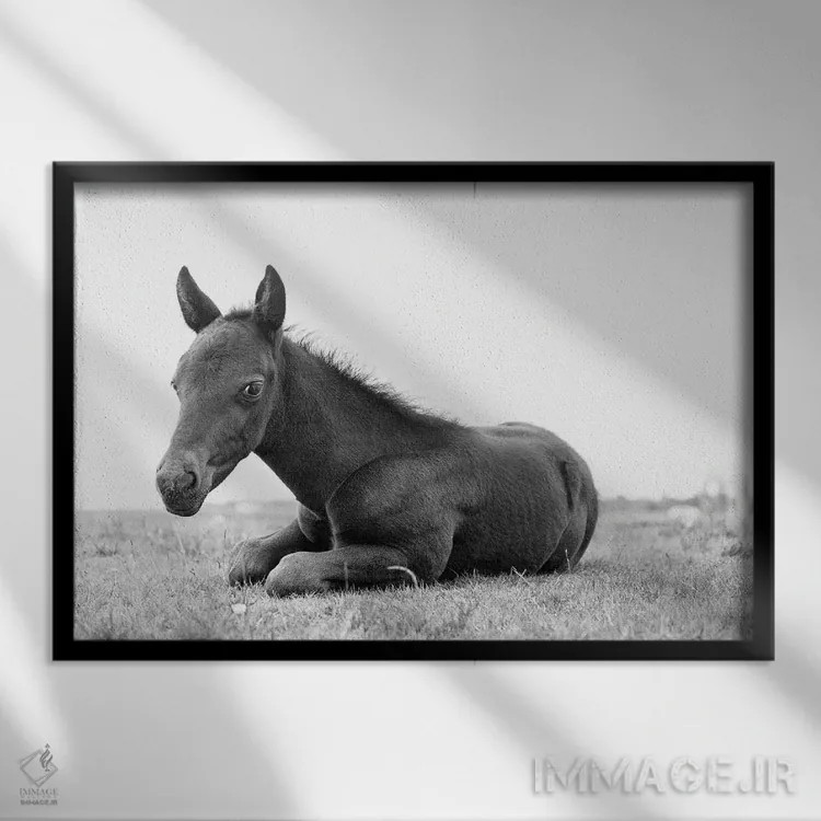 تابلو زیبای سیاه جوان اثر اندرو لِوِر - نمای قابدار مشکی
