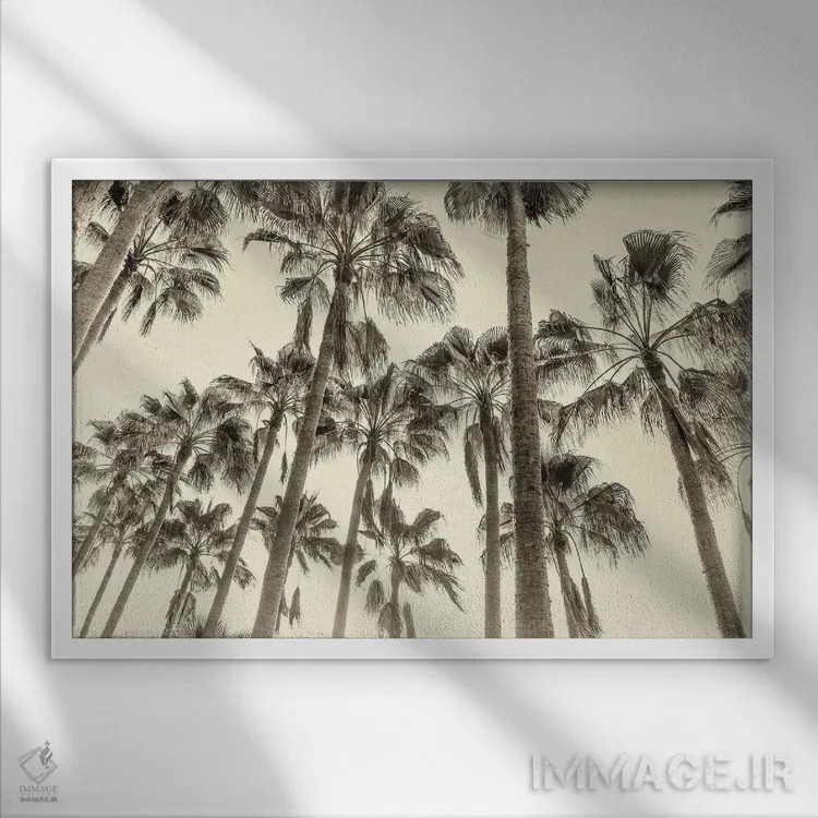تابلو نخلهای قناری اثر اندرو لِوِر - نمای قابدار سفید