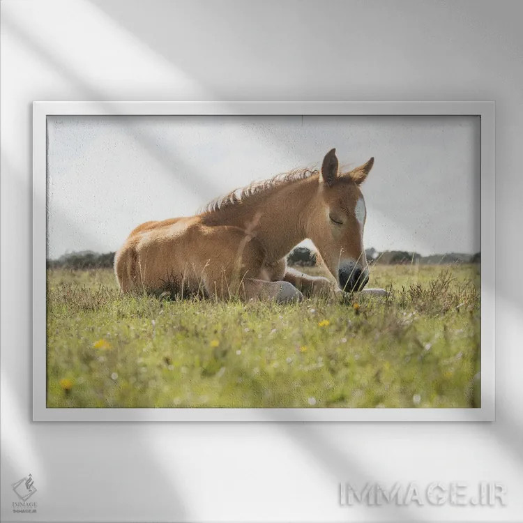 تابلو چرت عصرگاهی اثر اندرو لِوِر - نمای قابدار سفید