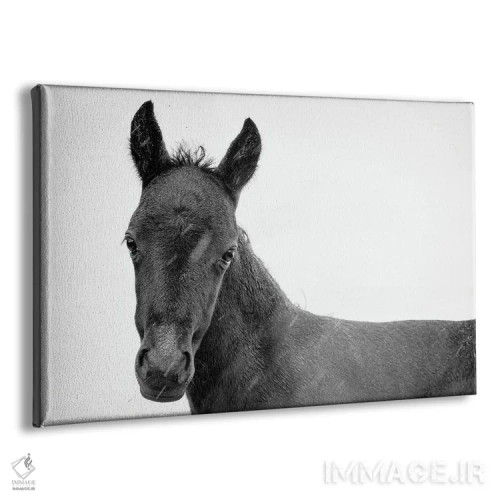 تابلو زیبای سیاه جوان II اثر اندرو لِوِر - نمای پرسپکتیو محصول