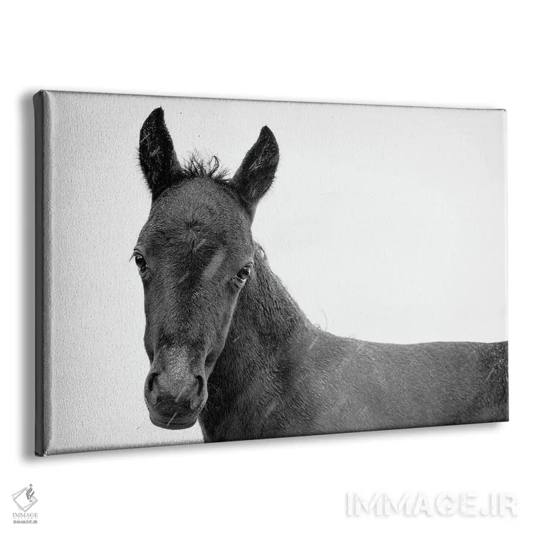 تابلو زیبای سیاه جوان II اثر اندرو لِوِر - نمای پرسپکتیو محصول