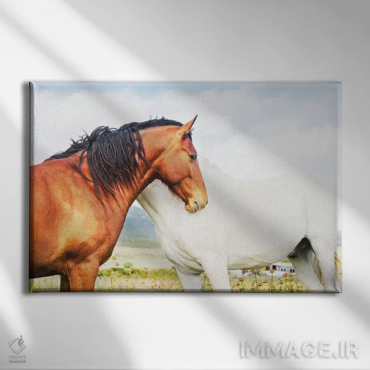 تابلو قهوهای و سفید اثر اندرو لِوِر - نمای روبهرو روی دیوار