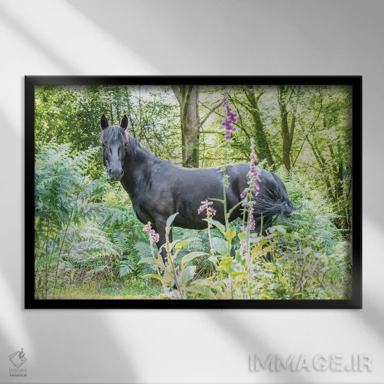 تابلو در میان گلها اثر اندرو لِوِر - نمای قابدار مشکی