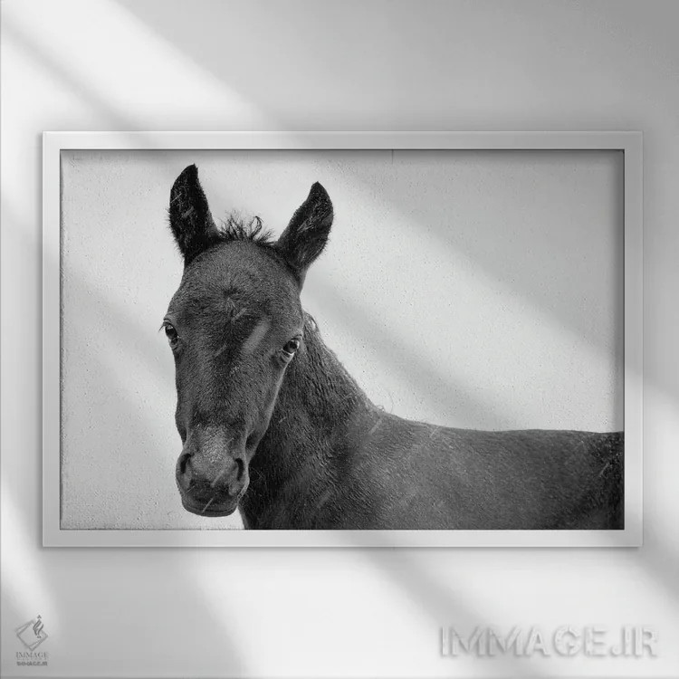 تابلو زیبای سیاه جوان II اثر اندرو لِوِر - نمای قابدار سفید