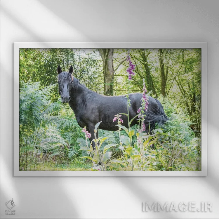 تابلو در میان گلها اثر اندرو لِوِر - نمای قابدار سفید