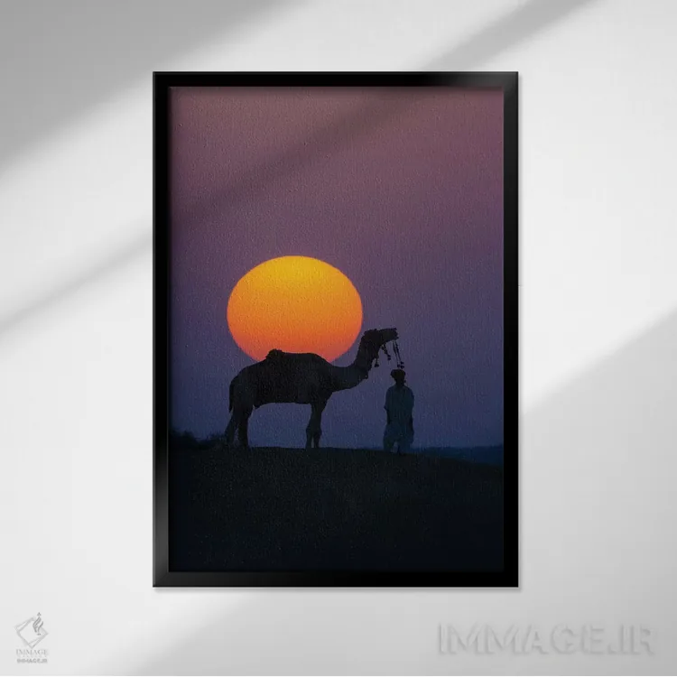 تابلو Thar Desert, Rajasthan, India,شتر و انسان در غروب، صحرای تار، راجستان، هند اثر آرت وولف (عکاس حیات وحش آمریکایی) - نمای قابدار مشکی