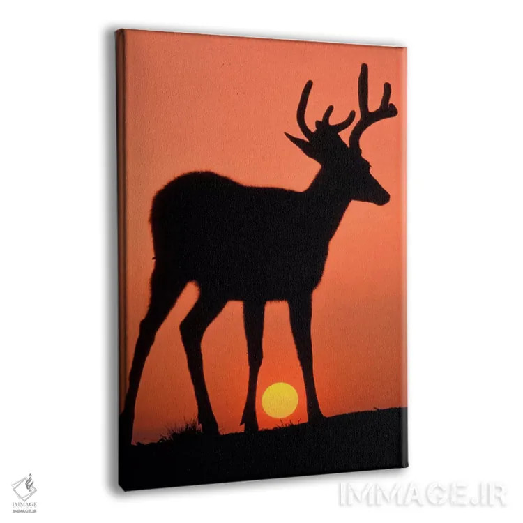 تابلو Olympic National Park, Washington, USA,سایهنمای گوزن در غروب، پارک ملی المپیک، واشنگتن، آمریکا اثر آرت وولف (عکاس حیات وحش آمریکایی) - نمای پرسپکتیو محصول