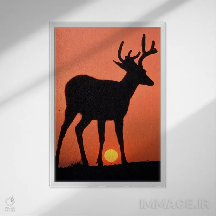 تابلو Olympic National Park, Washington, USA,سایهنمای گوزن در غروب، پارک ملی المپیک، واشنگتن، آمریکا اثر آرت وولف (عکاس حیات وحش آمریکایی) - نمای قابدار سفید