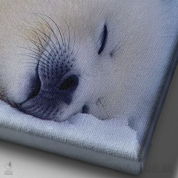 تابلو North America, Canada, Quebec, Iles De La Madeleine,فک هارپ، آمریکای شمالی، کانادا، کبک، جزایر د لا مادلین اثر آرت وولف (عکاس حیات وحش آمریکایی) - نمای نزدیک بافت بوم