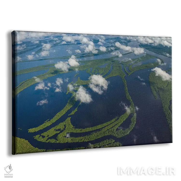 تابلو Manaus, Brazil II,نمای هوایی حوضهٔ رود آمازون، مانائوس، برزیل II اثر آرت وولف (عکاس حیات وحش آمریکایی) - نمای پرسپکتیو محصول