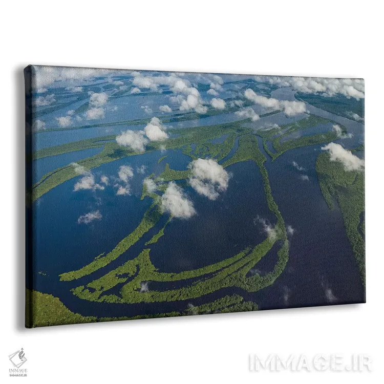 تابلو Manaus, Brazil II,نمای هوایی حوضهٔ رود آمازون، مانائوس، برزیل II اثر آرت وولف (عکاس حیات وحش آمریکایی) - نمای پرسپکتیو محصول